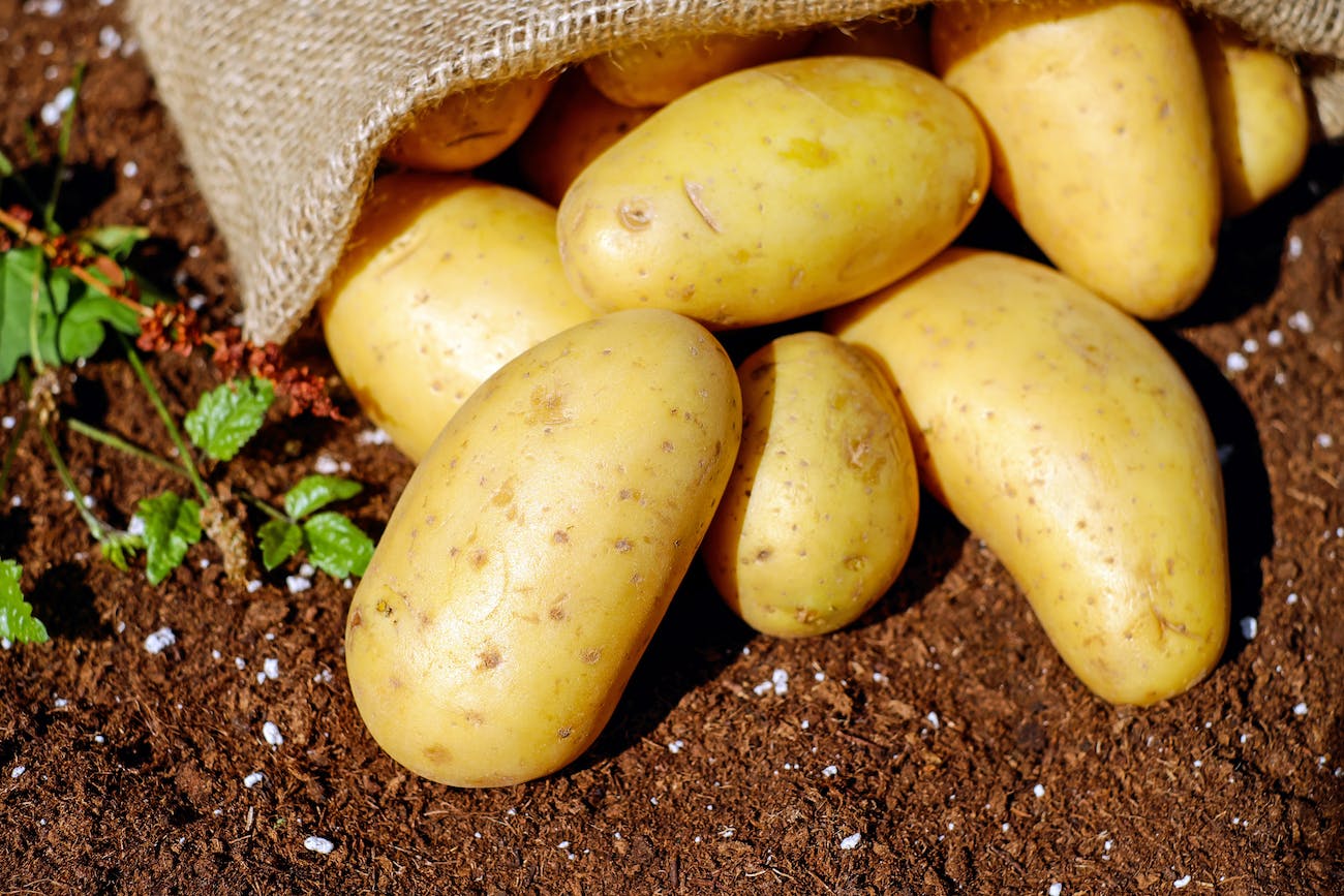 Patates Yoğurt Diyeti: Sağlıklı Bir Yaşam Tarzı için Pratik Bir Seçenek