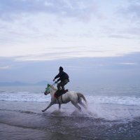 Hızlı Kilo Vermek İçin Diyet Listesi