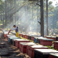 Kurdeşen Diyet Listesi: Beslenme İpuçları ve Öneriler