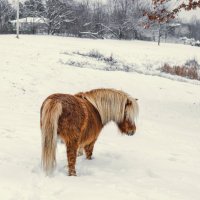 Mehtap Yakut Online Diyet Fiyatı