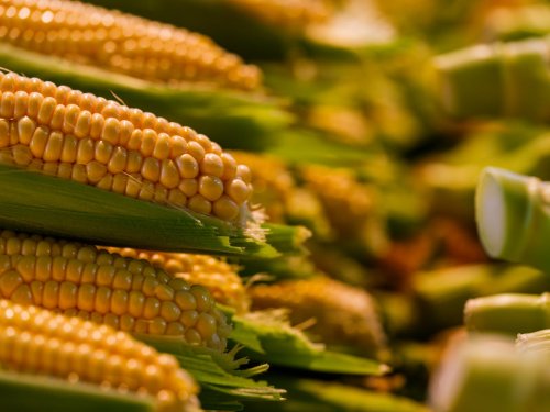 2 Günde 2 Kilo Verdiren Diyet Listesi