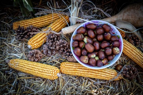 Hünnap Diyeti: Sağlıklı Bir Beslenme Seçeneği